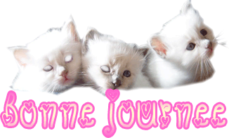 bonne journee